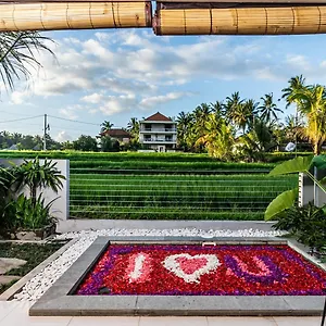 putih-dcarik-ubud.ubudhotelsnow.com/